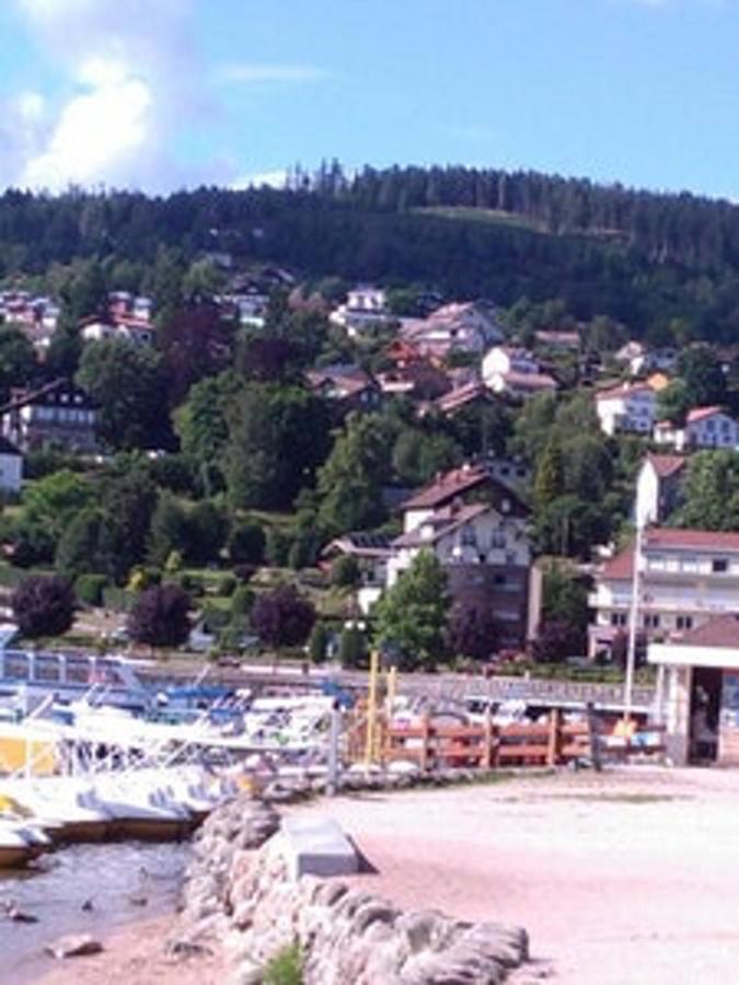 Studio Cosy Avec Vue Sur Lac Et Montagne A Gerardmer 30 M² Dış mekan fotoğraf