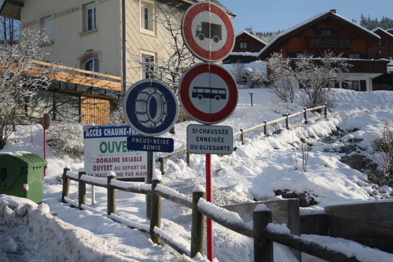 Studio Cosy Avec Vue Sur Lac Et Montagne A Gerardmer 30 M² Dış mekan fotoğraf
